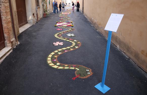 Infiorata of Cannara 2019